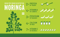 100% Organic Moringa Powder 200gm, Used for Weight Loss - Green Super Food - Plant-Based Protein Crazy Things